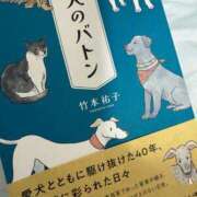 ヒメ日記 2025/08/22 15:55 投稿 ひなこ ナポレオン