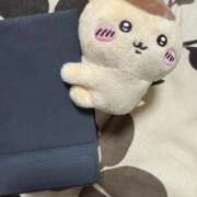 ヒメ日記 2025/11/01 18:19 投稿 ひなこ ナポレオン