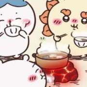 ひなこ 来週の出勤のお知らせ ナポレオン