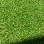 ヒメ日記 2025/08/17 15:01 投稿 なでしこ ビギナーズ神戸