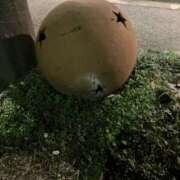 なでしこ おはようございます☀️ ビギナーズ神戸