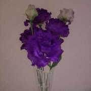 ヒメ日記 2025/06/10 13:32 投稿 ミサキ ナポレオン