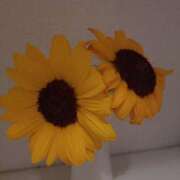 ヒメ日記 2025/07/01 17:50 投稿 ミサキ ナポレオン