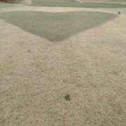 ヒメ日記 2025/07/15 14:02 投稿 ミサキ ナポレオン