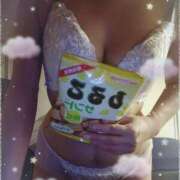 ヒメ日記 2025/07/17 20:02 投稿 ミサキ ナポレオン