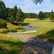 ヒメ日記 2025/08/23 13:06 投稿 ミサキ ナポレオン