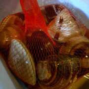 ヒメ日記 2025/08/25 17:18 投稿 ミサキ ナポレオン