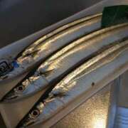 ヒメ日記 2025/09/06 14:40 投稿 ミサキ ナポレオン