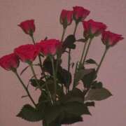 ヒメ日記 2025/09/15 11:18 投稿 ミサキ ナポレオン