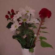 ヒメ日記 2025/09/20 16:15 投稿 ミサキ ナポレオン