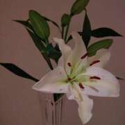 ヒメ日記 2025/10/06 14:35 投稿 ミサキ ナポレオン