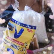 ヒメ日記 2025/10/19 19:58 投稿 ミサキ ナポレオン