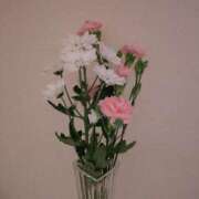 ヒメ日記 2025/11/03 16:30 投稿 ミサキ ナポレオン