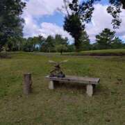 ヒメ日記 2025/12/20 16:10 投稿 ミサキ ナポレオン