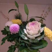 ヒメ日記 2026/01/17 15:24 投稿 ミサキ ナポレオン