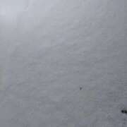 ヒメ日記 2026/02/08 07:54 投稿 ミサキ ナポレオン