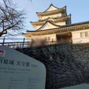 ヒメ日記 2026/03/14 13:40 投稿 ミサキ ナポレオン