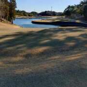 ヒメ日記 2026/03/16 09:53 投稿 ミサキ ナポレオン