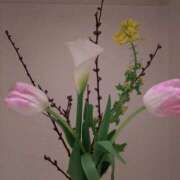 ヒメ日記 2026/03/31 22:08 投稿 ミサキ ナポレオン