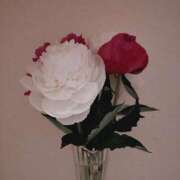 ヒメ日記 2026/06/06 12:00 投稿 ミサキ ナポレオン