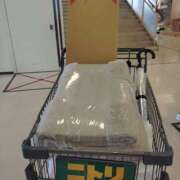 ヒメ日記 2026/07/18 18:12 投稿 ミサキ ナポレオン