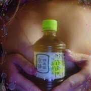 ミサキ ありがとう ナポレオン