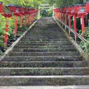 ヒメ日記 2025/08/19 17:06 投稿 ゆいか ナポレオン