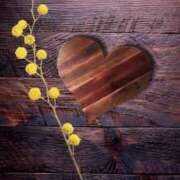 ゆいか 🍂 ナポレオン