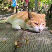 ヒメ日記 2025/06/08 14:33 投稿 るな ナポレオン