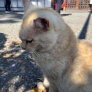 ヒメ日記 2025/07/27 13:16 投稿 るな ナポレオン