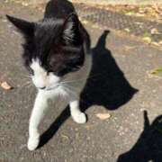 ヒメ日記 2025/08/02 19:07 投稿 るな ナポレオン