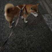 ヒメ日記 2025/09/05 18:30 投稿 るな ナポレオン