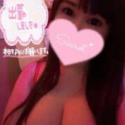 ヒメ日記 2025/11/14 12:21 投稿 るな ナポレオン