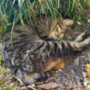 ヒメ日記 2026/03/08 15:03 投稿 るな ナポレオン