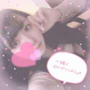 ヒメ日記 2025/05/28 13:51 投稿 ルル ナポレオン