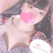 ヒメ日記 2025/07/10 10:29 投稿 ルル ナポレオン