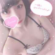 ヒメ日記 2025/08/27 09:39 投稿 ルル ナポレオン