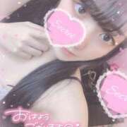 ヒメ日記 2025/09/20 16:31 投稿 ルル ナポレオン