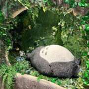 ヒメ日記 2025/12/31 14:19 投稿 ルル ナポレオン