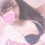 ルル 久々に🙂‍↕️💗 ナポレオン