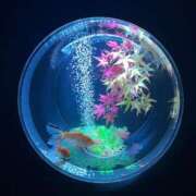 ヒメ日記 2026/03/18 19:23 投稿 ルル ナポレオン