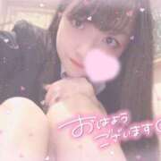ヒメ日記 2026/05/05 16:17 投稿 ルル ナポレオン