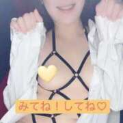 ヒメ日記 2025/12/20 10:49 投稿 りお エマニエル