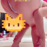 ヒメ日記 2026/01/29 09:47 投稿 りお エマニエル