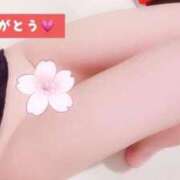 ヒメ日記 2026/02/05 14:32 投稿 りお エマニエル