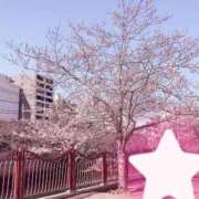 ヒメ日記 2026/03/23 17:12 投稿 りお エマニエル