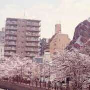 ヒメ日記 2026/03/30 19:32 投稿 りお エマニエル