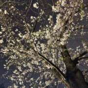 ヒメ日記 2025/05/02 13:08 投稿 マシロ ソープランド マックス