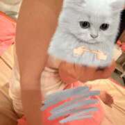 ヒメ日記 2025/05/03 12:48 投稿 マシロ ソープランド マックス