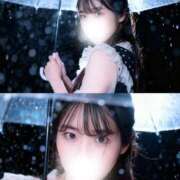 ヒメ日記 2025/12/14 09:18 投稿 マシロ ソープランド マックス